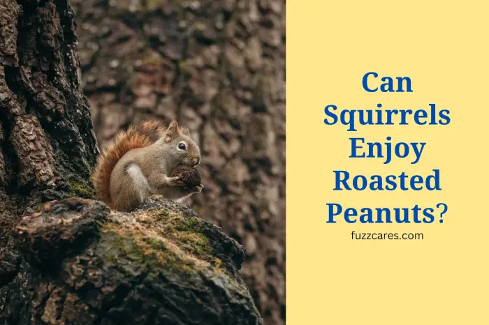 Can Squirrels Enjoy Roasted Peanuts